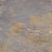 indian slates exporter