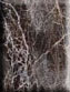 Exporter of imported marble